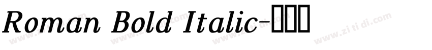 Roman Bold Italic字体转换